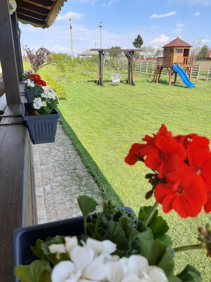 Dor De Casa Hotel Doljesti Eksteriør billede